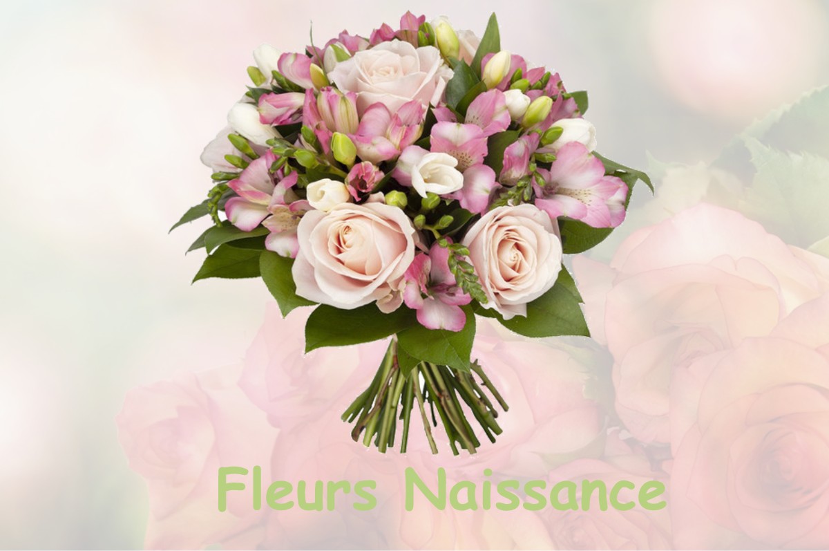 fleurs naissance SICCIEU-SAINT-JULIEN-ET-CARISIEU