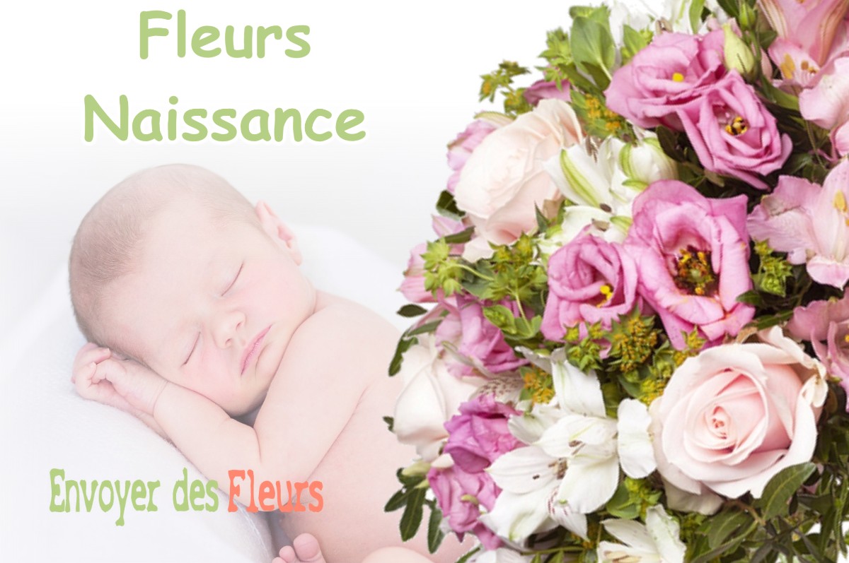 lIVRAISON FLEURS NAISSANCE à SICCIEU-SAINT-JULIEN-ET-CARISIEU